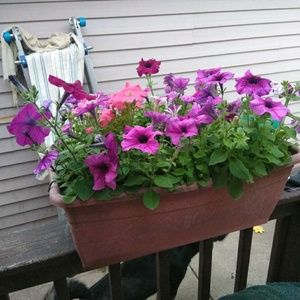 Meet your Posher, Kim